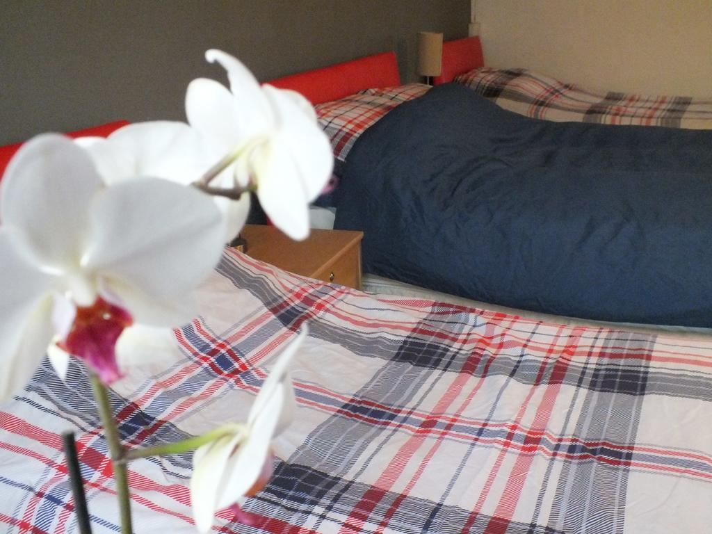 בילת' וולס Bonna'S Bed And Breakfast מראה חיצוני תמונה